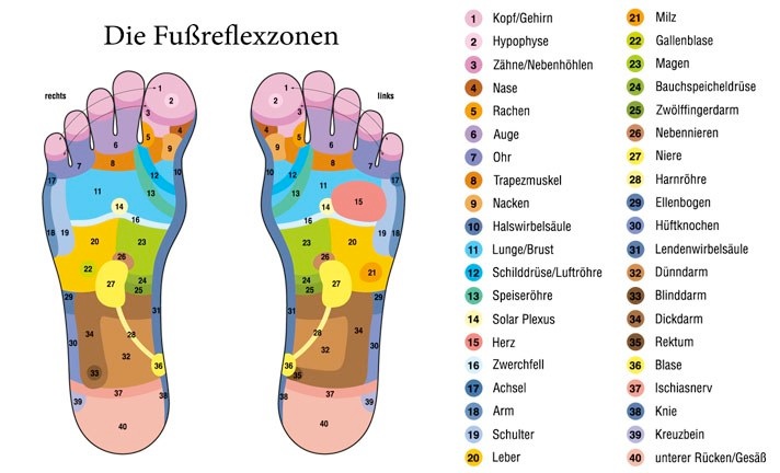 Fußreflexzonen Erklärung